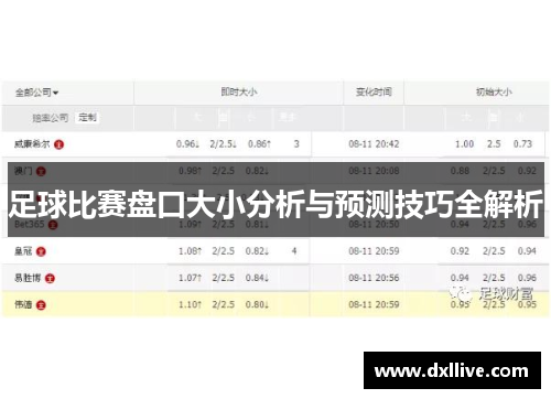 足球比赛盘口大小分析与预测技巧全解析